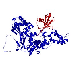 Image of CATH 3olm