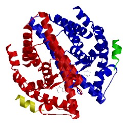 Image of CATH 3ols