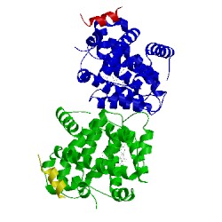 Image of CATH 3omk