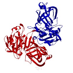 Image of CATH 3oot