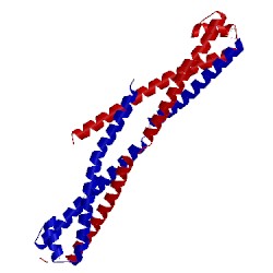 Image of CATH 3opc