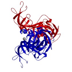 Image of CATH 3opo