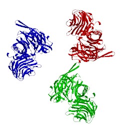 Image of CATH 3opz