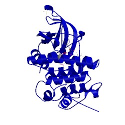 Image of CATH 3ork