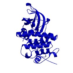 Image of CATH 3orp