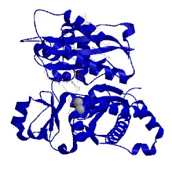 Image of CATH 3osn