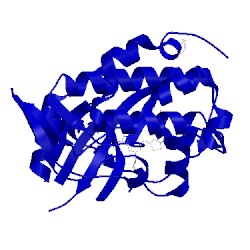 Image of CATH 3ot8