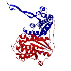 Image of CATH 3otc