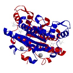 Image of CATH 3ovm