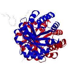 Image of CATH 3ovp