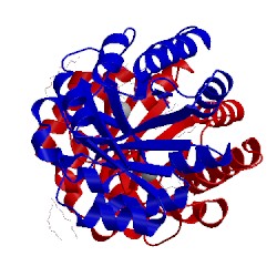 Image of CATH 3ovq