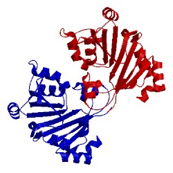 Image of CATH 3p2i