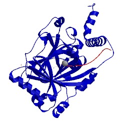 Image of CATH 3p3n