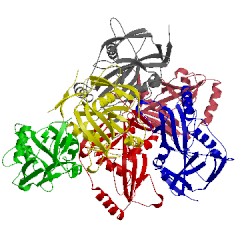 Image of CATH 3p5t