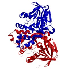 Image of CATH 3p7z