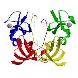 Image of CATH 3p8b