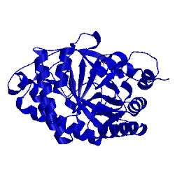 Image of CATH 3p8j