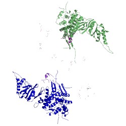 Image of CATH 3p9d