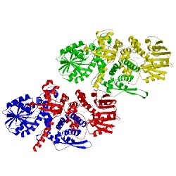 Image of CATH 3p9i