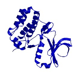 Image of CATH 3p9j