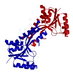 Image of CATH 3p9x