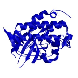 Image of CATH 3pa5