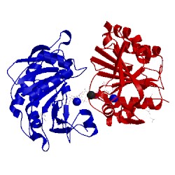 Image of CATH 3pa8