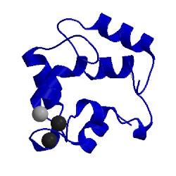 Image of CATH 3pal