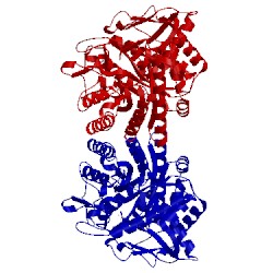 Image of CATH 3pbg