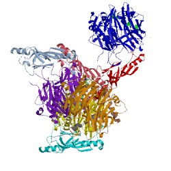 Image of CATH 3pbp