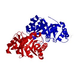 Image of CATH 3pbv