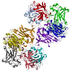 Image of CATH 3pca