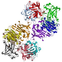 Image of CATH 3pch