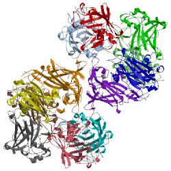 Image of CATH 3pck