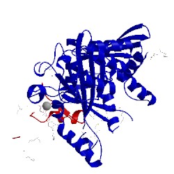 Image of CATH 3pcr