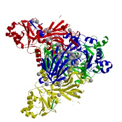 Image of CATH 3pfn