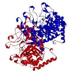 Image of CATH 3pfp