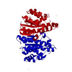 Image of CATH 3pgt