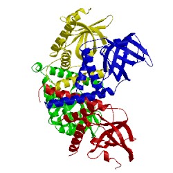 Image of CATH 3ph1