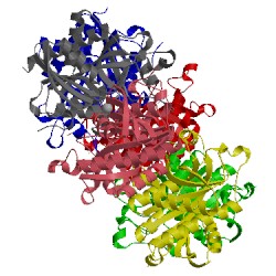 Image of CATH 3phc