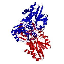 Image of CATH 3phi