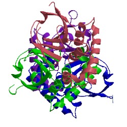 Image of CATH 3phw