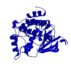 Image of CATH 3pjc