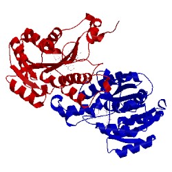 Image of CATH 3pjd