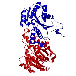 Image of CATH 3pjf