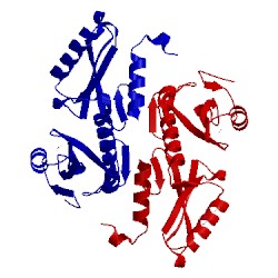 Image of CATH 3pjp