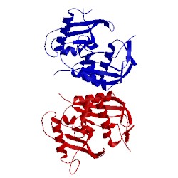 Image of CATH 3pkm
