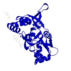 Image of CATH 3pmw