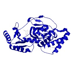 Image of CATH 3pn1