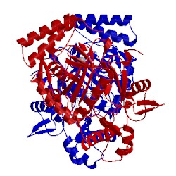 Image of CATH 3pne